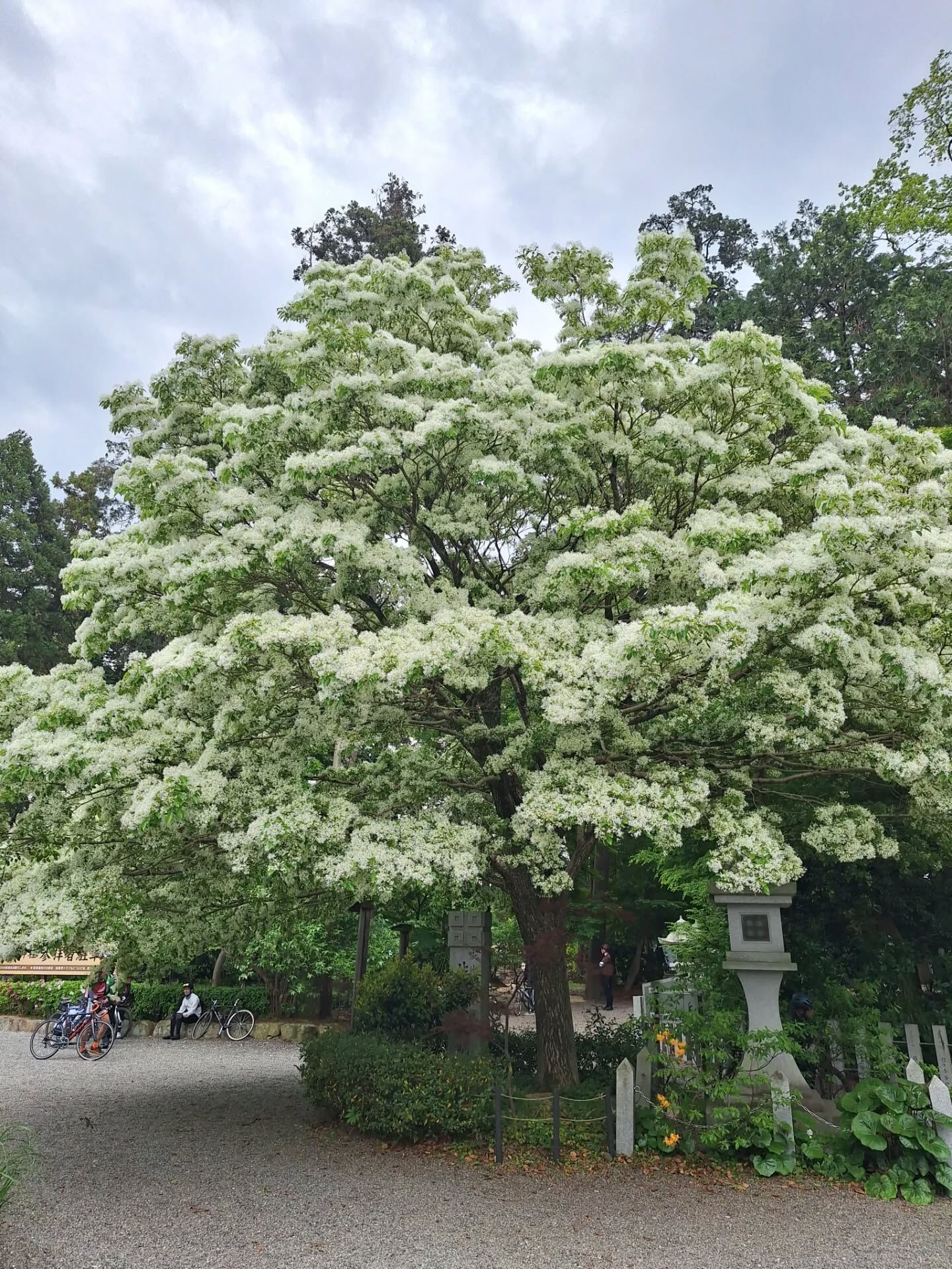 4月29日(水)は春のロングツーリング走行会を開催しました