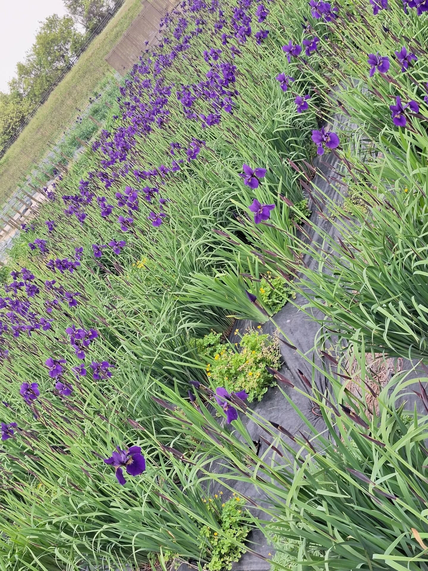 4月29日(水)は春のロングツーリング走行会を開催しました