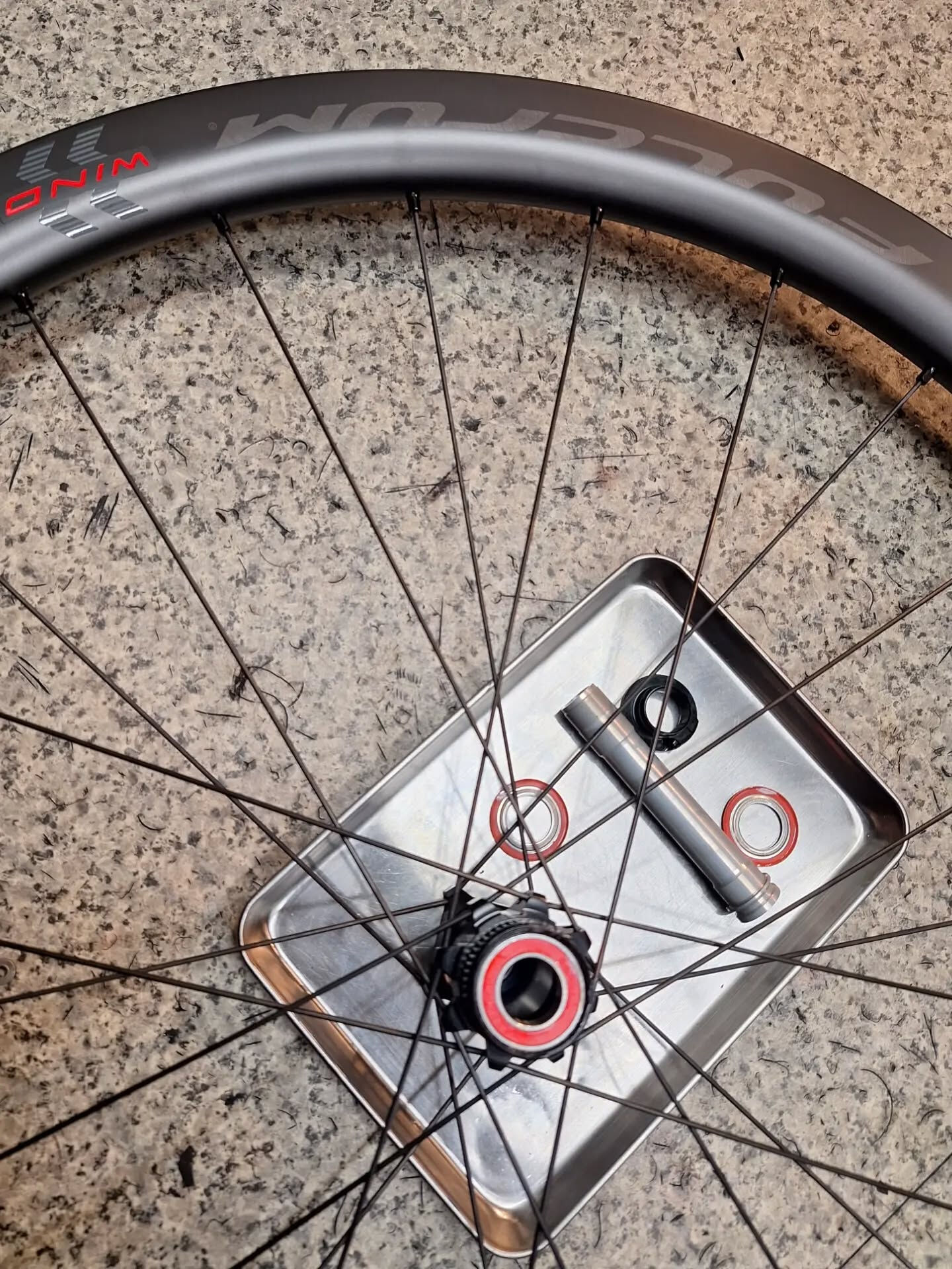 日本限定・生産数限定のFulcrum WIND 42をご用意
