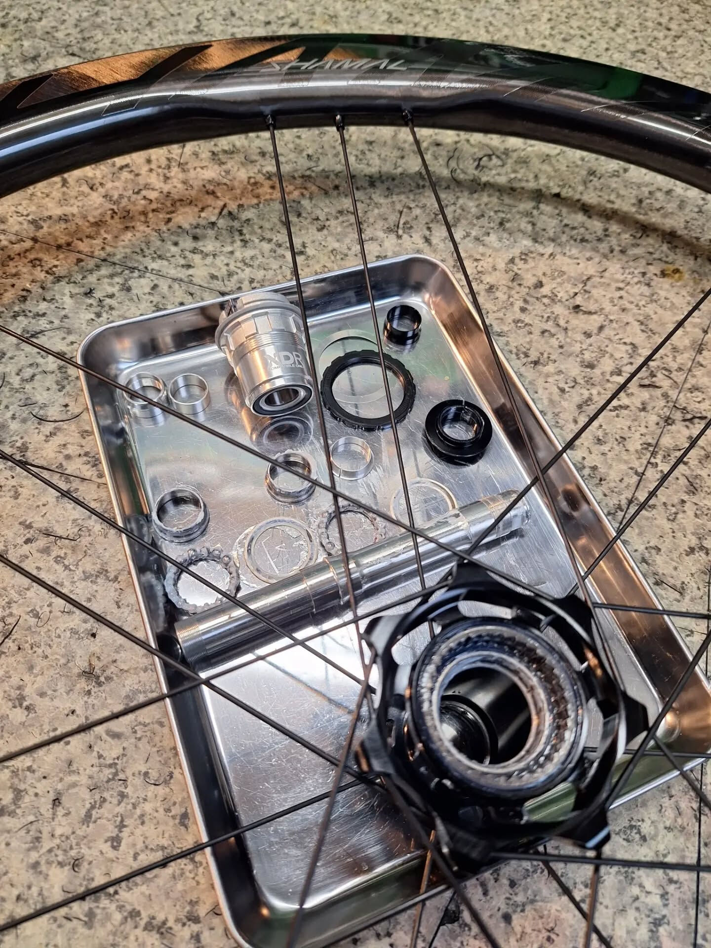 CampagnoloのSHAMAL DUAL PROFILE