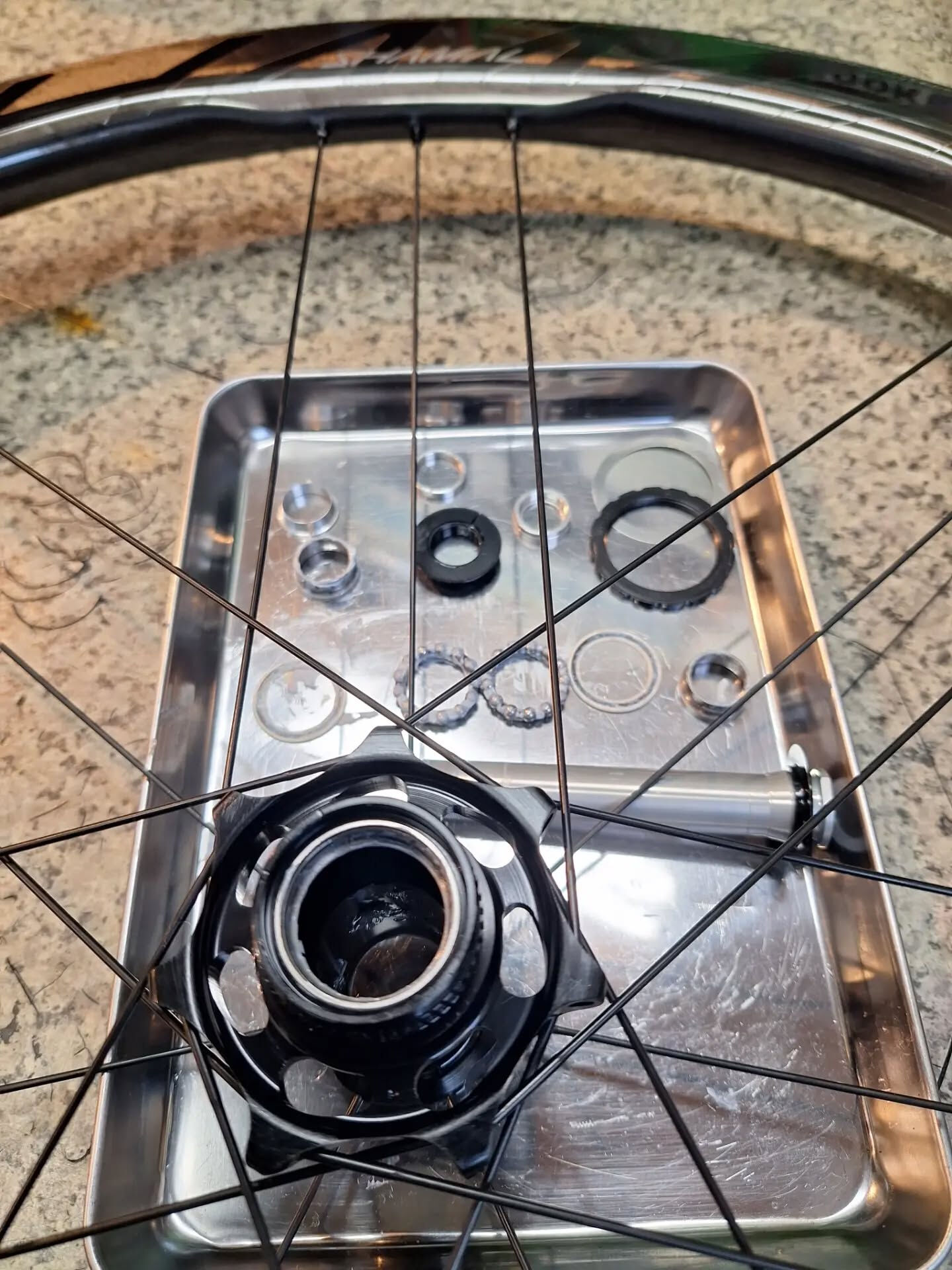 CampagnoloのSHAMAL DUAL PROFILE