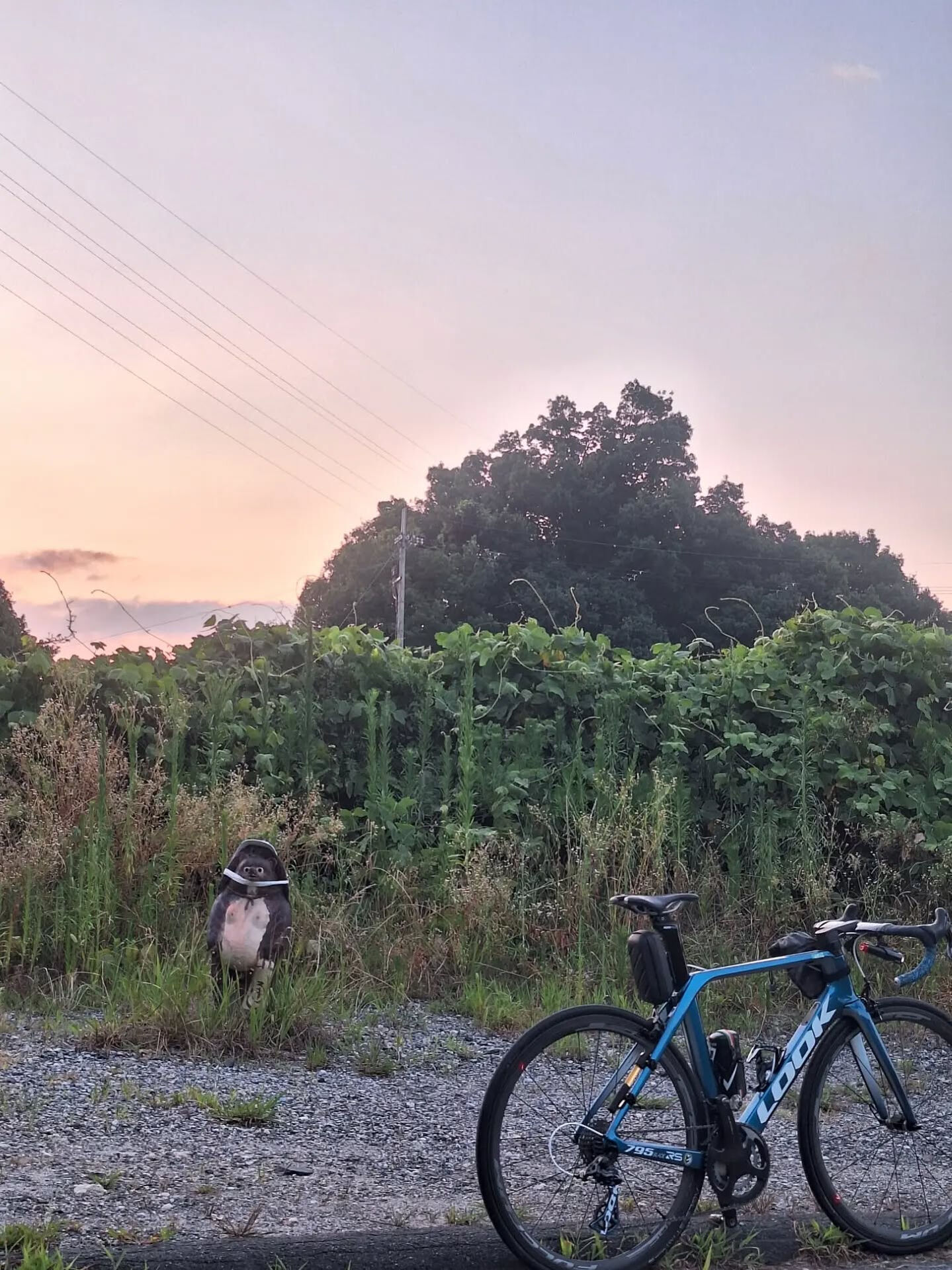 早朝サイクリングのオヌヌメ