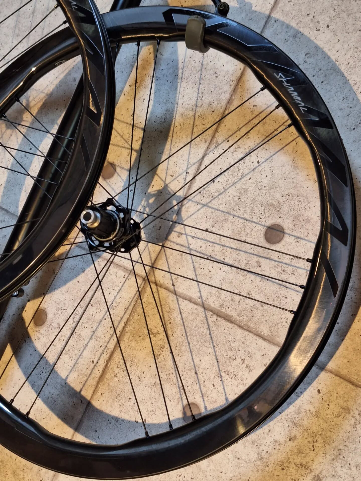 Campagnolo SHAMAL DUAL PROFILE