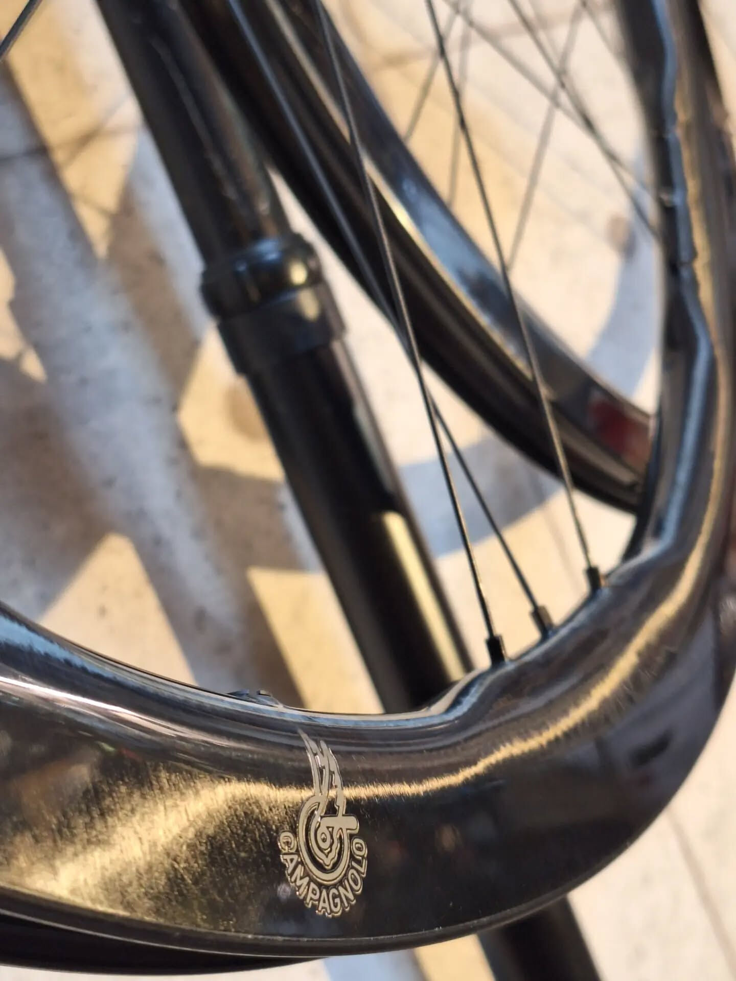 Campagnolo SHAMAL DUAL PROFILE