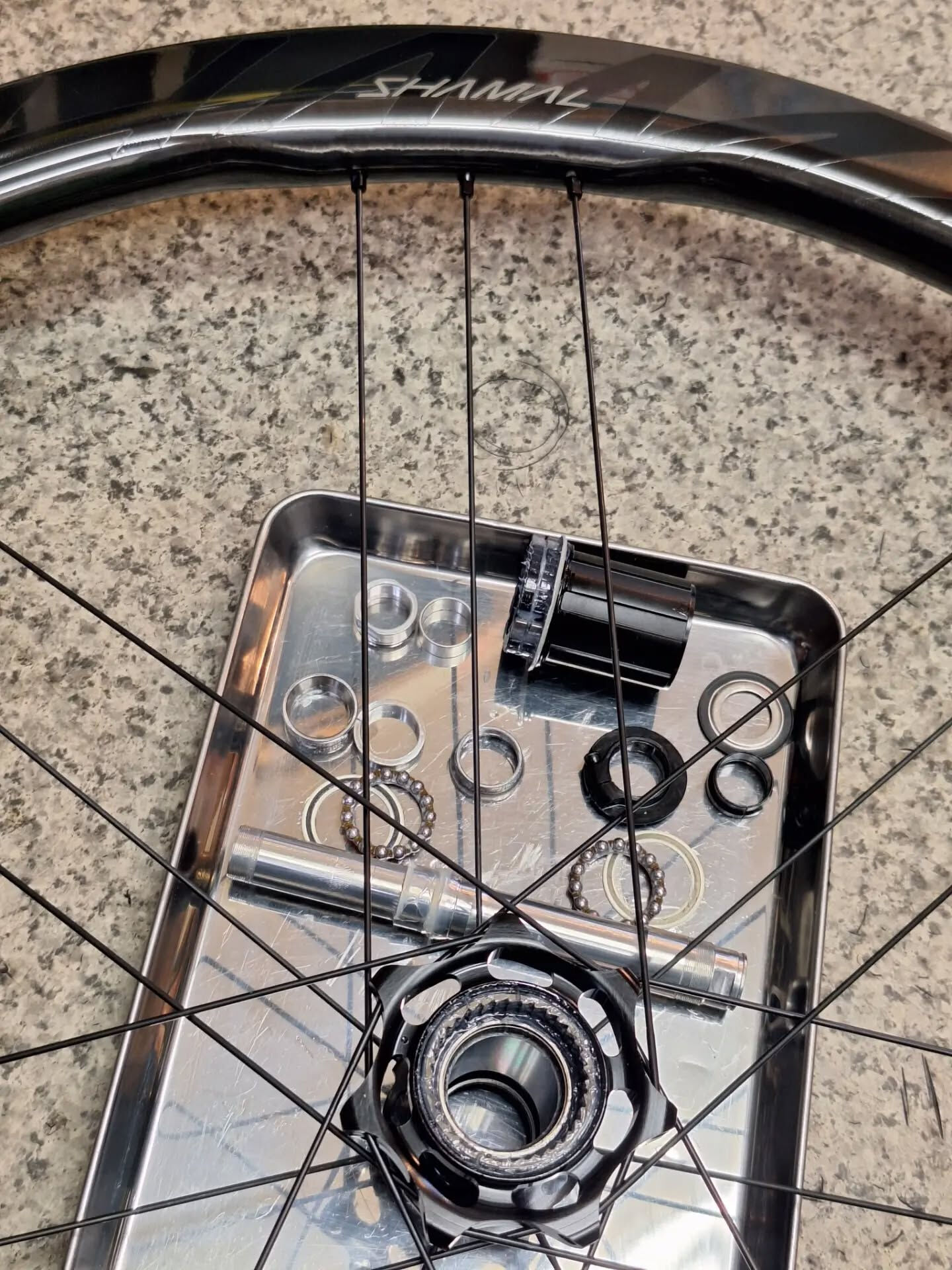 Campagnolo SHAMAL DUAL PROFILE