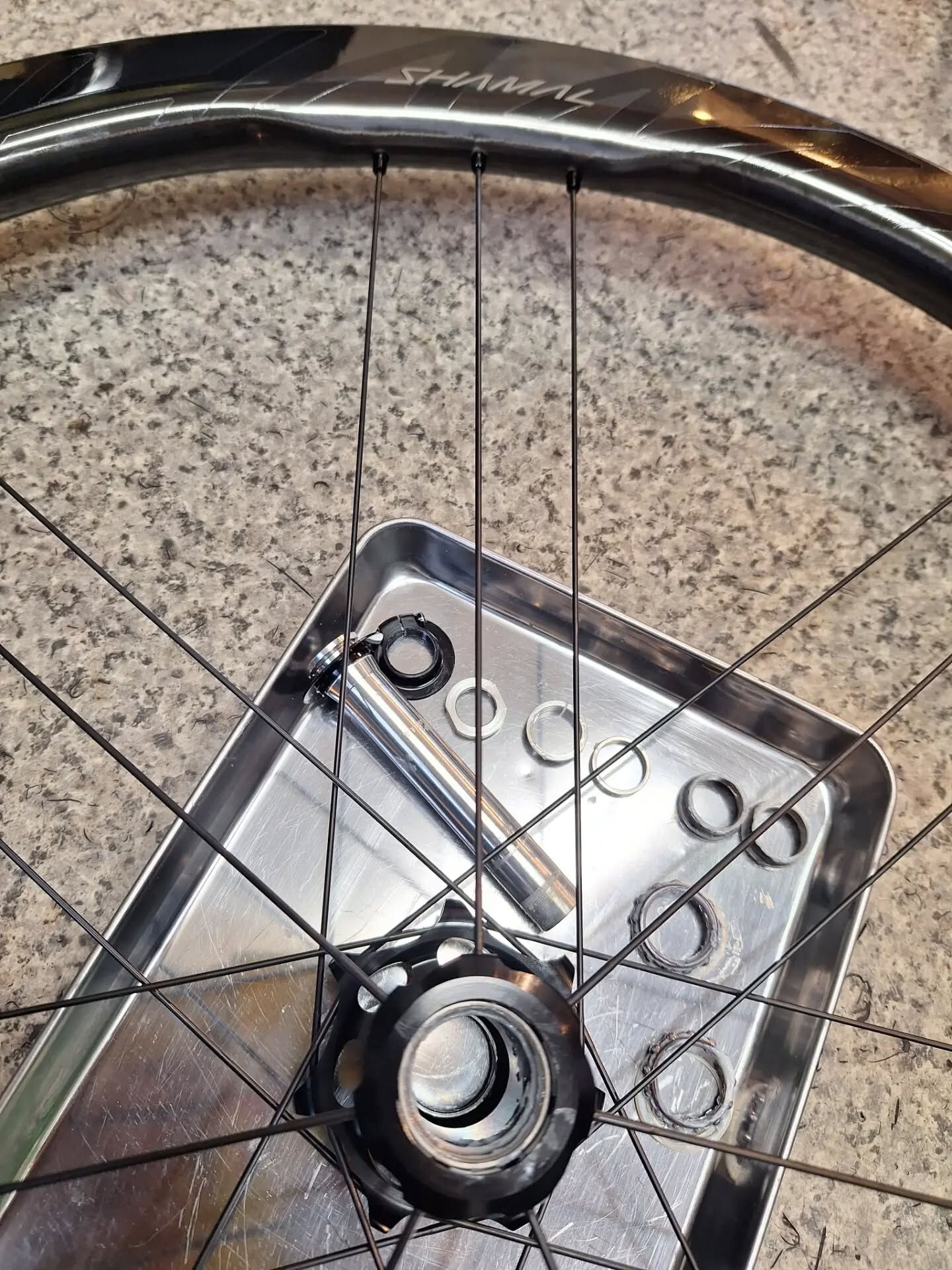 Campagnolo SHAMAL DUAL PROFILE