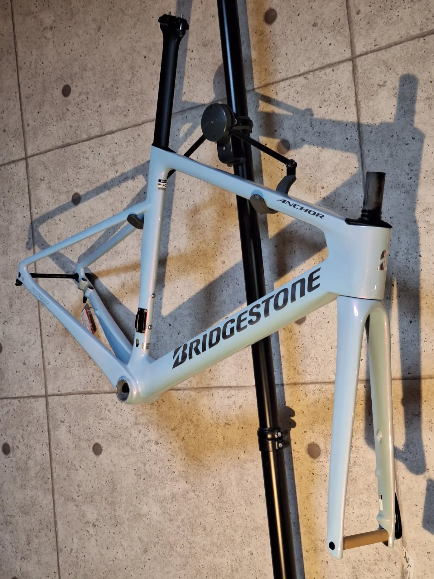 BRIDGESTONE ANCHORのRP8新色が入荷しまし